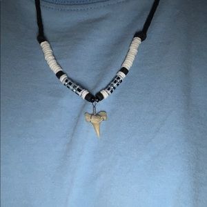 real shark tooth necklace